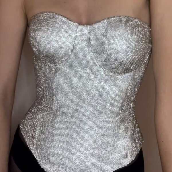 Silver shinny corset